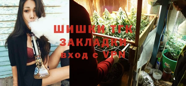 соль курить ск Алзамай