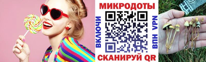 купить сайты Рыбное Псилоцибиновые грибы Psilocybe