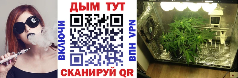 Бошки Шишки THC 21% kraken ТОР Рыбное